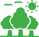 Growth Icon
