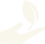 Growth Icon